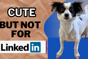 Create a Winning LinkedIn Photo