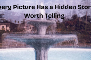 Rediscovering My Passion For Photography in Retirement
