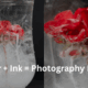 Water and Ink Photography