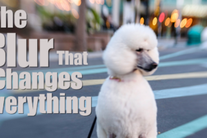 Stop Taking Boring Photos