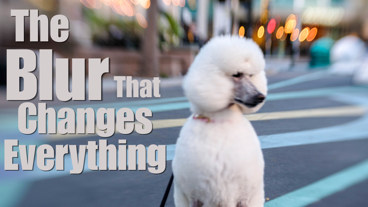 Stop Taking Boring Photos