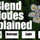 Multiple Exposure Modes Compared: Which One Works Best?