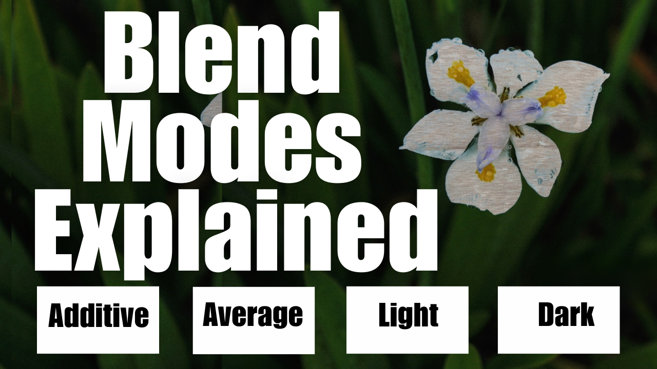 Multiple Exposure Modes Compared: Which One Works Best?