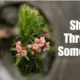 This Simple Challenge Taught Me More Than Years of Practice