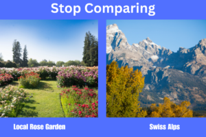 Comparison in Photography