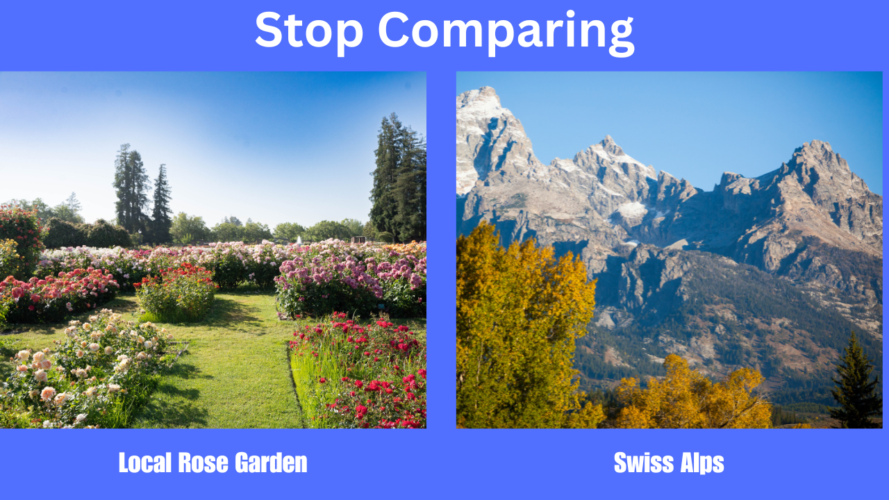 Comparison in Photography